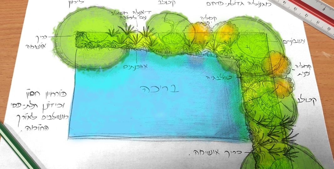 עיצוב גינה עם בריכה